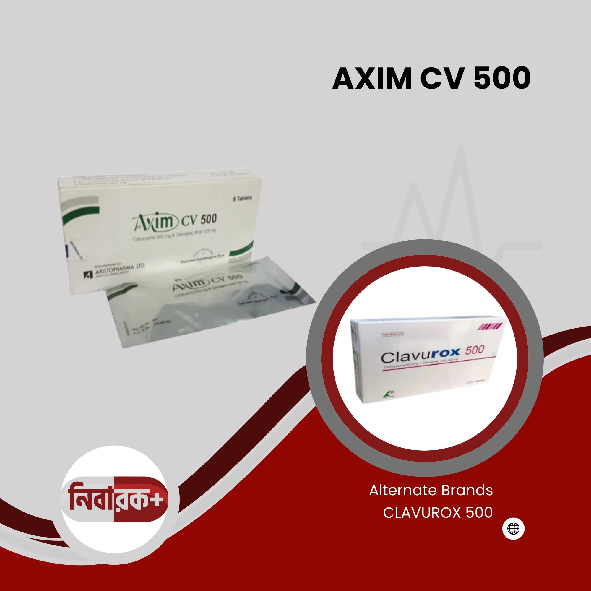 AXIM CV 500 – Broad-Spectrum Antibiotic for Infections